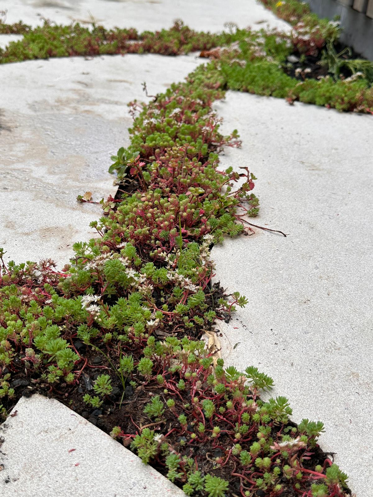 Natuursteen tuinelementen